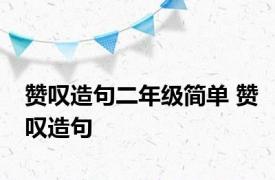 赞叹造句二年级简单 赞叹造句 