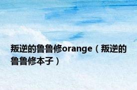 叛逆的鲁鲁修orange（叛逆的鲁鲁修本子）