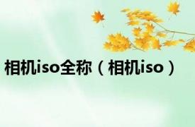 相机iso全称（相机iso）