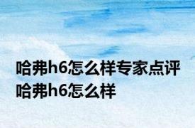 哈弗h6怎么样专家点评 哈弗h6怎么样 