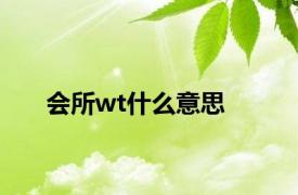 会所wt什么意思