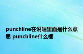 punchline在说唱里面是什么意思 punchline什么梗 