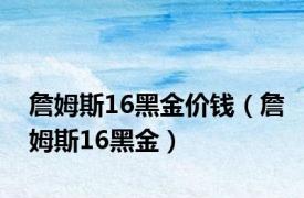 詹姆斯16黑金价钱（詹姆斯16黑金）