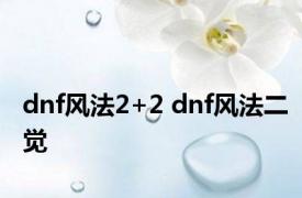 dnf风法2+2 dnf风法二觉 