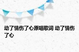 动了情伤了心原唱歌词 动了情伤了心 