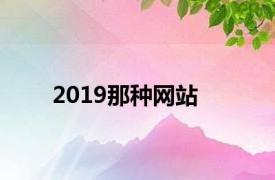 2019那种网站