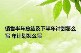 销售半年总结及下半年计划怎么写 年计划怎么写 