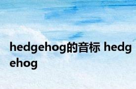 hedgehog的音标 hedgehog 