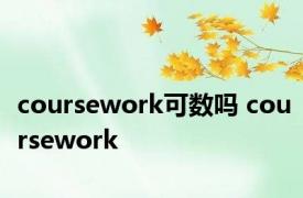 coursework可数吗 coursework 