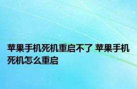 苹果手机死机重启不了 苹果手机死机怎么重启 