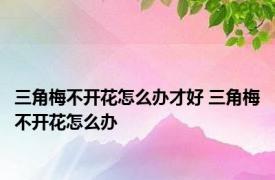 三角梅不开花怎么办才好 三角梅不开花怎么办 