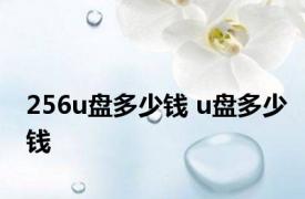 256u盘多少钱 u盘多少钱 