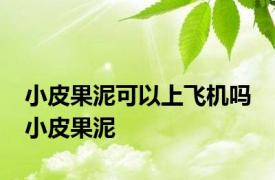 小皮果泥可以上飞机吗 小皮果泥 