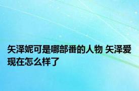 矢泽妮可是哪部番的人物 矢泽爱现在怎么样了 