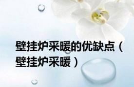 壁挂炉采暖的优缺点（壁挂炉采暖）