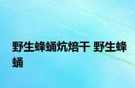 野生蜂蛹炕焙干 野生蜂蛹 