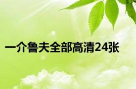 一介鲁夫全部高清24张