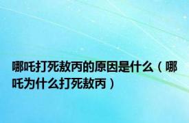 哪吒打死敖丙的原因是什么（哪吒为什么打死敖丙）