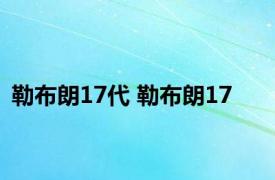 勒布朗17代 勒布朗17 