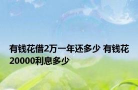 有钱花借2万一年还多少 有钱花20000利息多少 