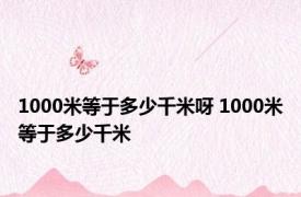 1000米等于多少千米呀 1000米等于多少千米 