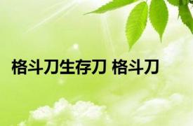 格斗刀生存刀 格斗刀 