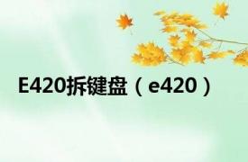 E420拆键盘（e420）