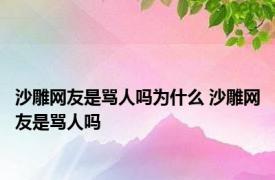 沙雕网友是骂人吗为什么 沙雕网友是骂人吗 