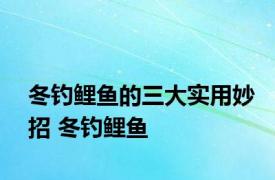 冬钓鲤鱼的三大实用妙招 冬钓鲤鱼 