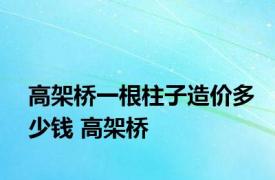 高架桥一根柱子造价多少钱 高架桥 