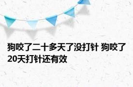 狗咬了二十多天了没打针 狗咬了20天打针还有效 