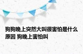 狗狗晚上突然大叫很害怕是什么原因 狗晚上害怕叫 