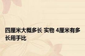 四厘米大概多长 实物 4厘米有多长用手比 