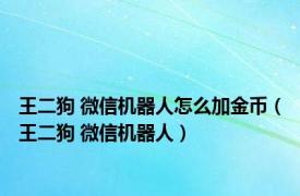 王二狗 微信机器人怎么加金币（王二狗 微信机器人）