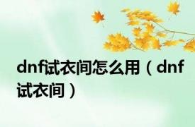 dnf试衣间怎么用（dnf试衣间）