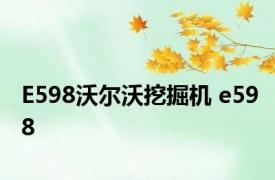 E598沃尔沃挖掘机 e598 