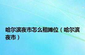 哈尔滨夜市怎么租摊位（哈尔滨夜市）