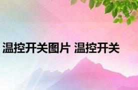 温控开关图片 温控开关 