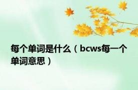 每个单词是什么（bcws每一个单词意思）