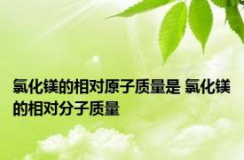 氯化镁的相对原子质量是 氯化镁的相对分子质量 