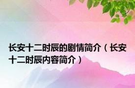 长安十二时辰的剧情简介（长安十二时辰内容简介）