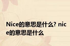 Nice的意思是什么? nice的意思是什么 