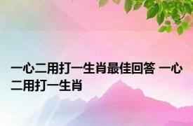 一心二用打一生肖最佳回答 一心二用打一生肖 