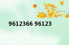 9612366 96123 