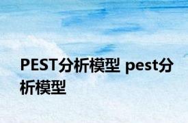 PEST分析模型 pest分析模型 