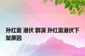 孙红雷 潜伏 群演 孙红雷潜伏下架原因 