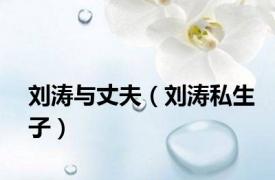 刘涛与丈夫（刘涛私生子）