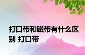 打口带和磁带有什么区别 打口带 