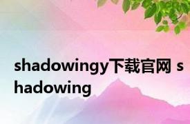 shadowingy下载官网 shadowing 