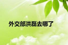 外交部洪磊去哪了